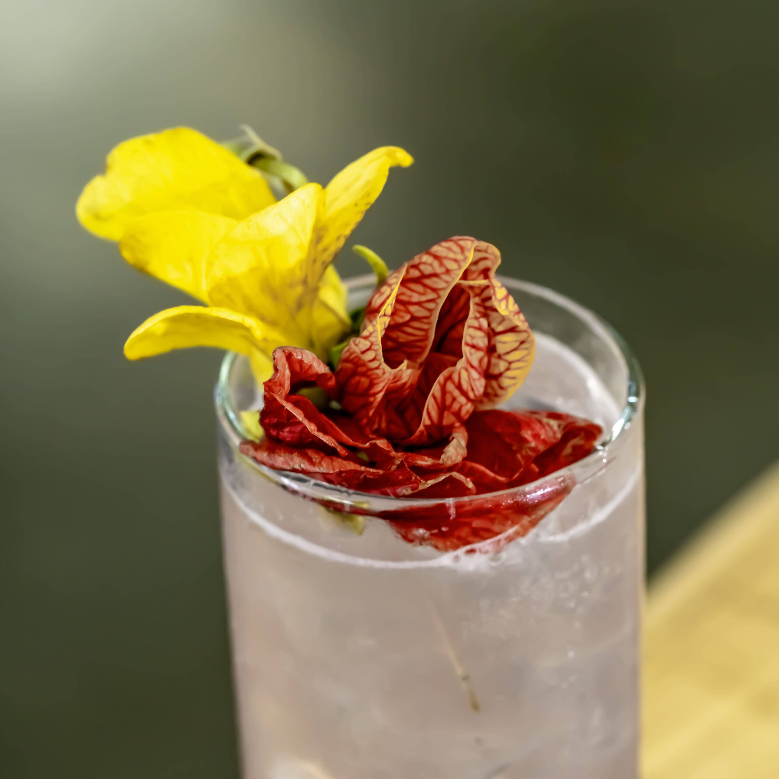 cocktails-photography-drink